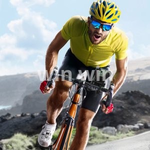 حامل الهاتف المحمول أثناء القيادة