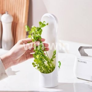 كابسوله حافظة اعشاب